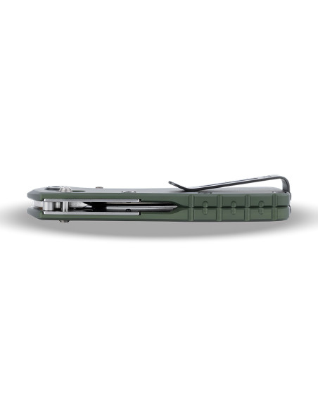 Buck 790 Mini Range Elite 0790GRS foldekniv med grønt håndtak, 9 cm