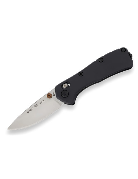 Buck 790 Mini Range Elite 0790BKS Klappmesser mit schwarzem Griff, 9 cm