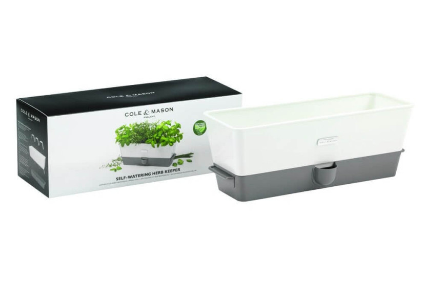 Conservante Cole & Mason para hierbas frescas en macetas - 3 plazas