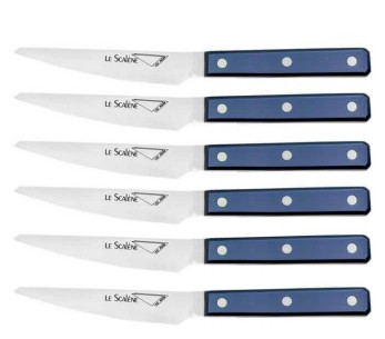 Set in scatola di 6 coltelli da bistecca Au Nain Scalène 11 cm con manico blu microseghettato