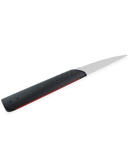 Set of 12 Sabatier XRAY steak knives 12cm