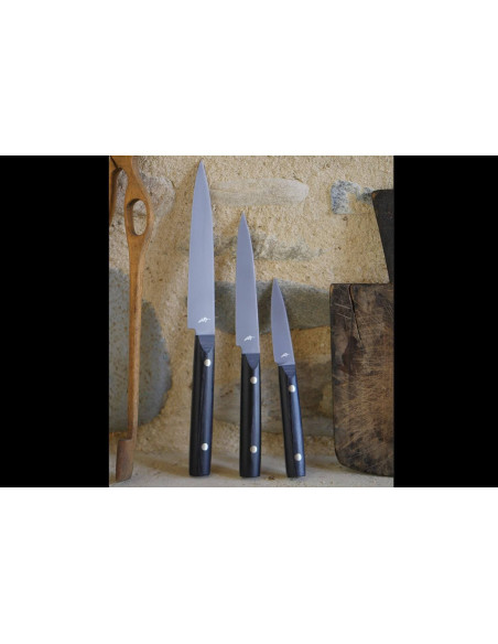 Kai Michel Bras Faca universal japonesa para uso diário n°3 Lâmina 15cm