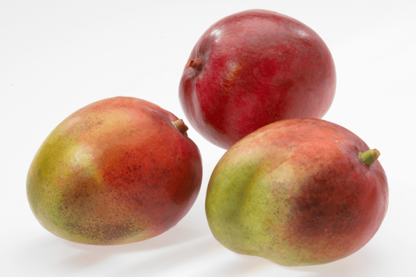 Gefu Parti stainless steel and polymer mango cutter