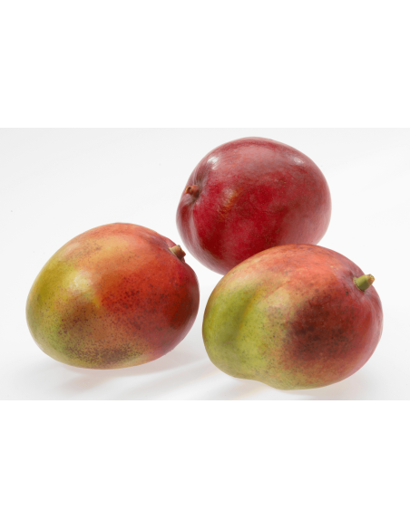 Gefu Parti stainless steel and polymer mango cutter