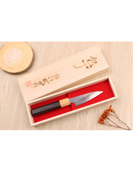 Cuchillo de pelar tradicional japonés Takeshi Saji VG10 rainbow 9cm
