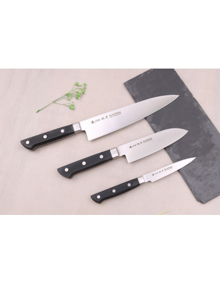 Juego de 3 cuchillos japoneses de chef Satake ABS + santoku + cuchillos de oficina