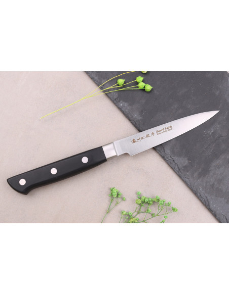 Set of 2 Satake ABS japanese knives Chef + Paring