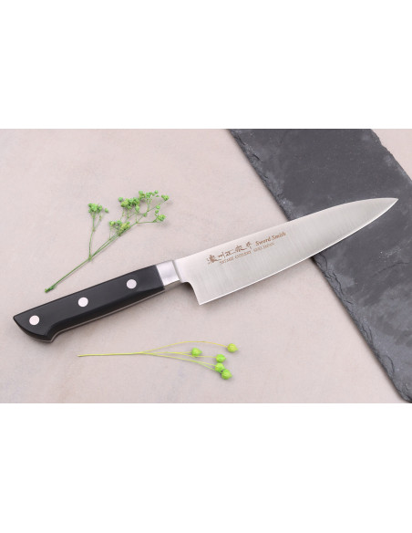 Set mit 2 japanischen Messern Satake ABS Kochmesser + Officemesser