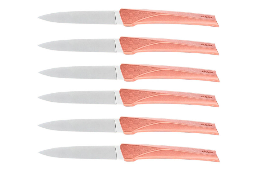 Set van 6 Kiana tafelmessen 10,4cm roestvrijstalen lemmet terracotta handvat
