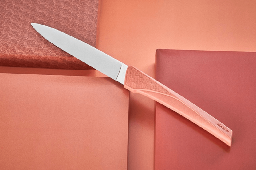 Juego de 6 cuchillos de mesa Kiana 10.4cm hoja acero inoxidable mango terracota