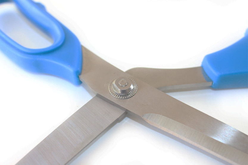 Fish scissors Bargoin 27,5cm serrated blade stainless steel blue handle