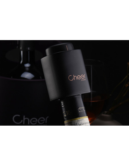 Cheer Moda Peak Aufbewahrungsstöpsel - Schwarz & Bronze