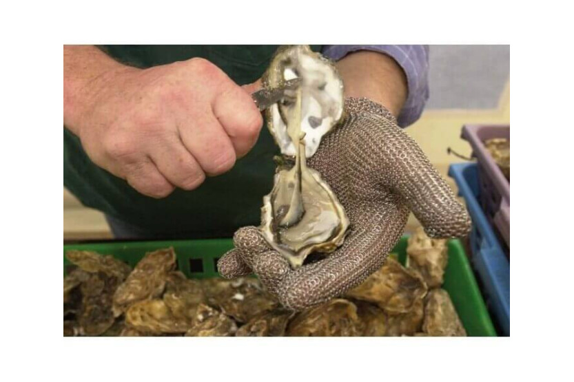 WILCO skyddshandske i rostfritt stål med ringbrynja, ambidextrisk storlek S