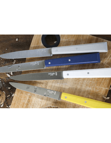 Set of 4 Opinel Bon Appétit Céleste table knives n°125 11cm stainless steel blades hornbeam handles