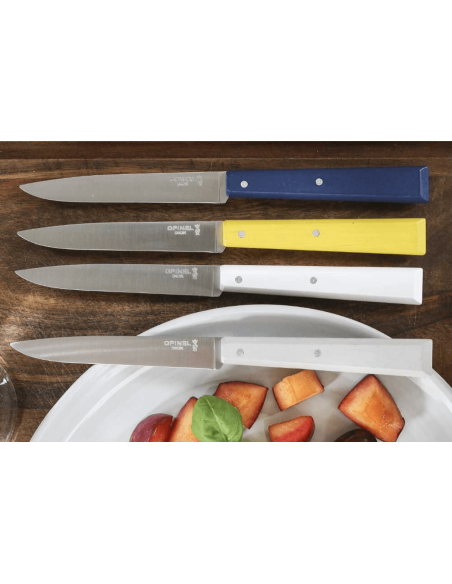 Set of 4 Opinel Bon Appétit Céleste table knives n°125 11cm stainless steel blades hornbeam handles