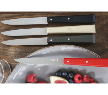 4 kpl Opinel Bon Appétit Loft pöytäveitset n°125 11cm ruostumattomasta teräksestä terät valkopuusta kahvat 2