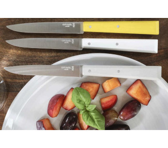 Opinel Bon Appétit Bois coltello da tavola n°125 11cm lama in acciaio inox manico cloud charm 2