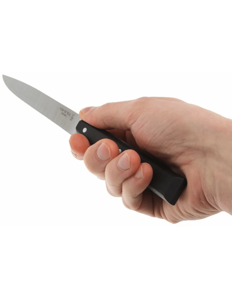 Opinel Bon Appétit Bois coltello da tavola n°125 11 cm lama in acciaio inox manico in carpino nero