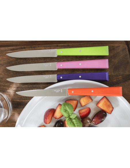 Opinel Bon Appétit Bois bordskniv n°125 11cm blad i rostfritt stål fuchsia hornbjörkhandtag
