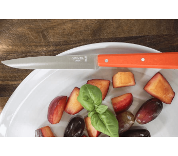 Tafelmesser Opinel Bon Appétit Bois n°125 Klinge 11cm aus rostfreiem Edelstahl Griff aus Mandarinencharme 2
