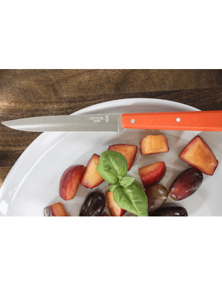 Opinel Bon Appétit Pro coltello da tavola n°125 Lama in acciaio inox da 11 cm Manico in polimero mandarino
