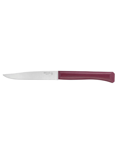 Opinel Bon Appétit bordkniv + 11 cm blad i rustfritt stål granatpolymerhåndtak