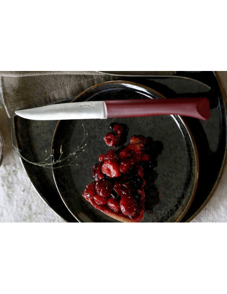 Opinel Bon Appétit pöytäveitsi + 11cm ruostumattomasta teräksestä valmistettu terä granaattipolymeerikahva