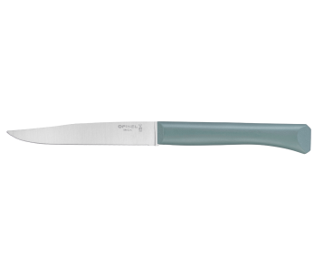 Coltello da tavola Opinel Bon Appétit + lama in acciaio inox da 11 cm manico in polimero salvia