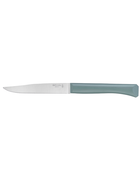 Opinel Bon Appétit tafelmes + 11cm roestvrijstalen lemmet salie polymeer handvat