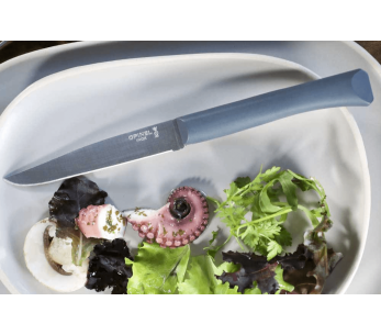 Coltello da tavola Opinel Bon Appétit + lama in acciaio inox da 11 cm manico in polimero salvia 2