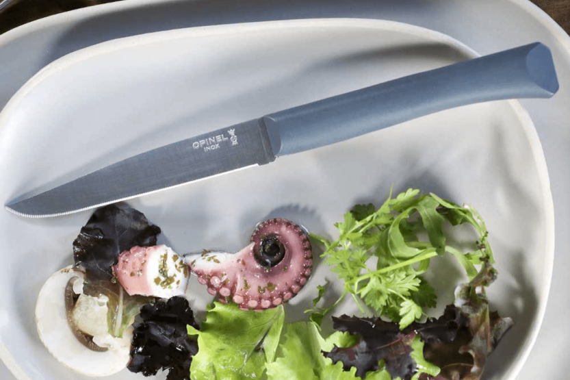 Opinel Bon Appétit bordkniv + 11 cm blad i rustfritt stål med håndtak i salviepolymer