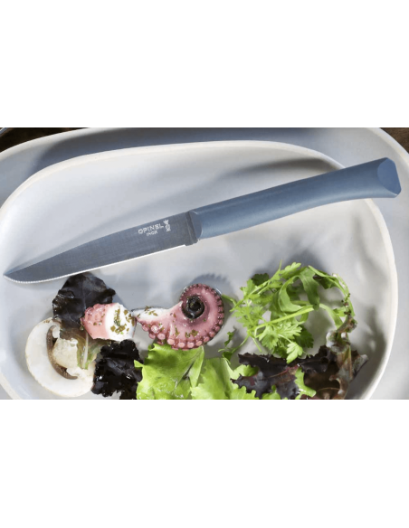 Faca de mesa Opinel Bon Appétit + lâmina de 11 cm em aço inoxidável e cabo em polímero de sálvia