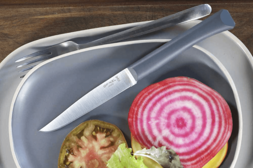 Opinel Bon Appétit table knife + 11cm stainless steel blade sage polymer handle