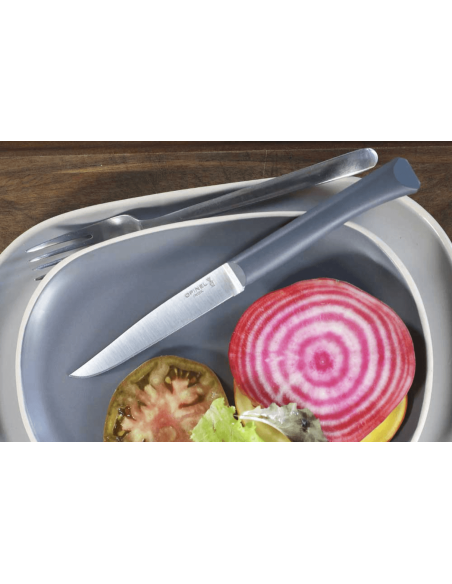 Opinel Bon Appétit pöytäveitsi + 11cm ruostumattomasta teräksestä valmistettu terä salvia polymeerikahva
