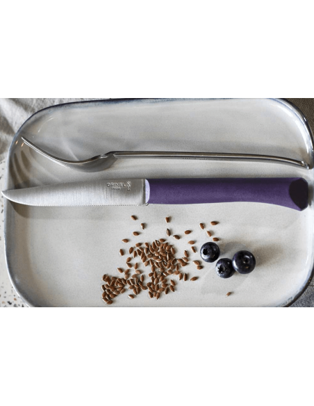 Opinel Bon Appétit bordkniv + 11 cm blad i rustfritt stål, lilla polymerhåndtak