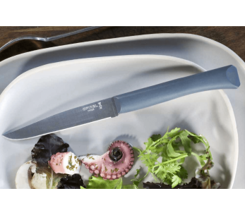 Opinel Bon Appétit bordkniv + 11 cm blad i rustfritt stål antracitt polymerhåndtak 2