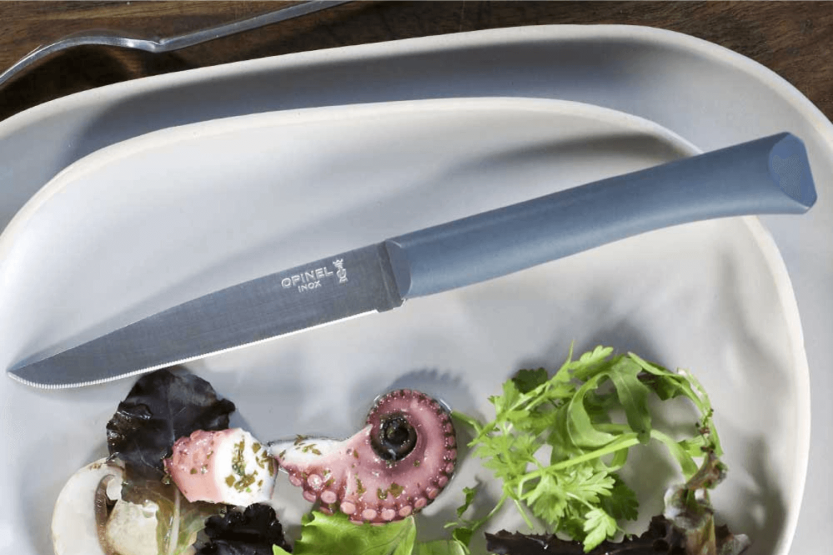 Opinel Bon Appétit pöytäveitsi + 11cm ruostumattomasta teräksestä valmistettu terä antrasiittipolymeerikahva