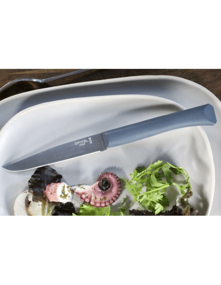 Faca de mesa Opinel Bon Appétit + lâmina de 11 cm em aço inoxidável e cabo em polímero antracite