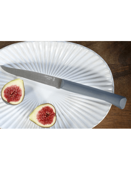 Tafelmesser Opinel Bon Appétit + 11cm Klinge aus rostfreiem Edelstahl Griff aus Polymer Anthrazit