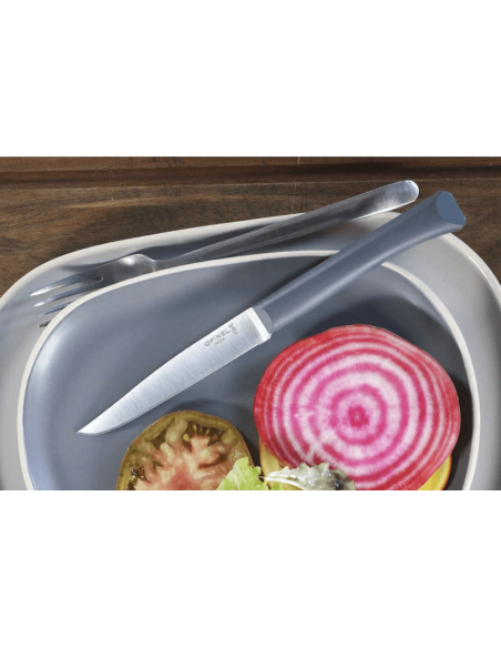 Faca de mesa Opinel Bon Appétit + lâmina de 11 cm em aço inoxidável e cabo em polímero antracite