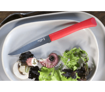 Coltello da tavola Opinel Bon Appétit + lama in acciaio inox da 11 cm con manico in polimero rosso 2