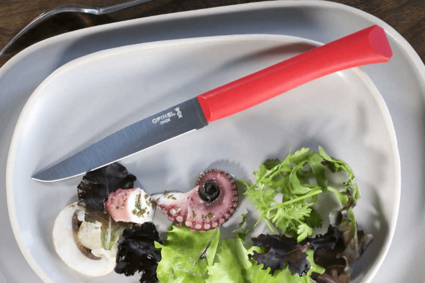 Cuchillo de mesa Opinel Bon Appétit + hoja de acero inoxidable de 11 cm con mango de polímero rojo