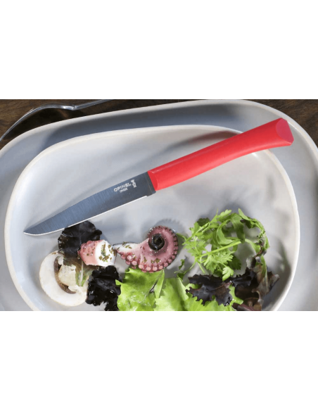 Coltello da tavola Opinel Bon Appétit + lama in acciaio inox da 11 cm con manico in polimero rosso