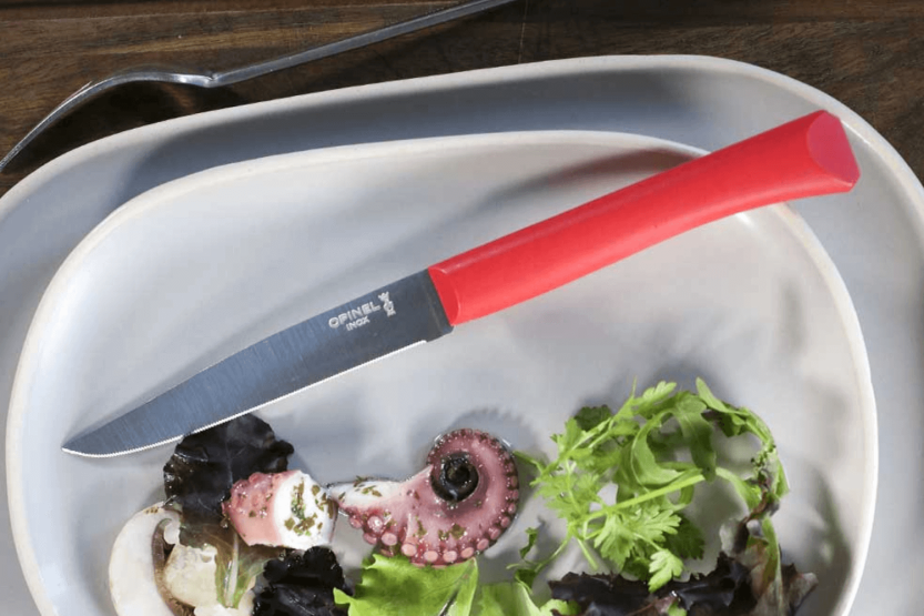 Tafelmesser Opinel Bon Appétit + 11cm Klinge aus rostfreiem Edelstahl Griff aus rotem Polymer