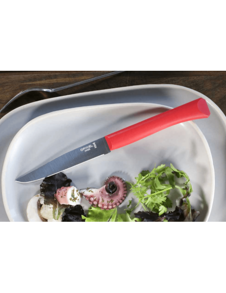 Opinel Bon Appétit table knife + 11cm stainless steel blade red polymer handle