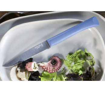 Faca de mesa Opinel Bon Appétit + lâmina de 11 cm em aço inoxidável com cabo em polímero azul 2