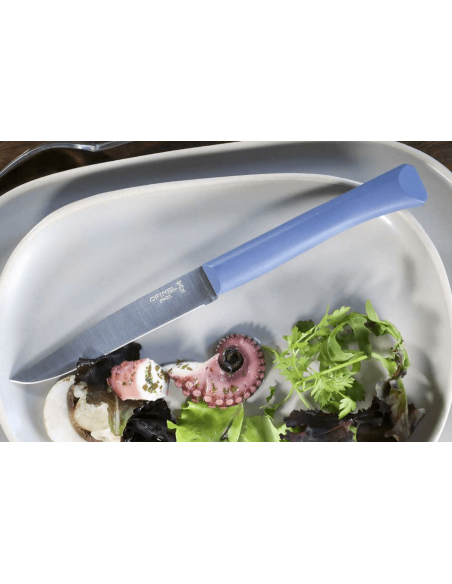 Cuchillo de mesa Opinel Bon Appétit + hoja de acero inoxidable de 11 cm con mango de polímero azul