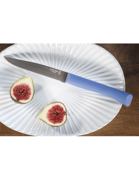 Tafelmesser Opinel Bon Appétit + 11cm Klinge aus rostfreiem Edelstahl Griff aus blauem Polymer