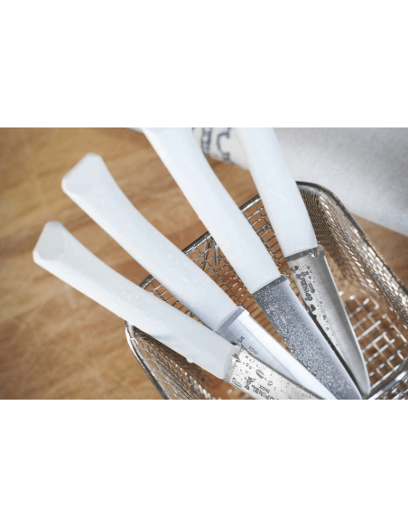 Coltello da tavola Opinel Bon Appétit + lama in acciaio inox da 11 cm con manico in polimero cloud