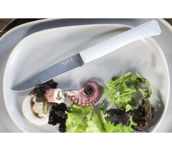 Opinel Bon Appétit pöytäveitsi + 11cm ruostumattomasta teräksestä valmistettu terä pilvipolymeerikahva 2